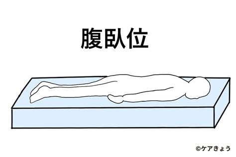 左側位|側臥位（そくがい）の単語を解説｜ナース